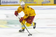 FRIBOURG - TIGERS