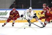 AMBRI - TIGERS