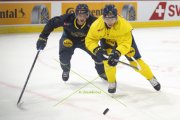 TRAINING SCHWEDEN