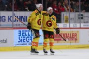 TIGERS - BERN