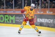 BERN - TIGERS