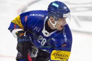 FRIBOURG - TIGERS