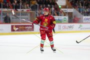 TIGERS - ZSC