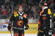 BERN - TIGERS