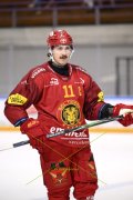 AMBRI - TIGERS