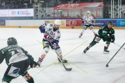 OLTEN - GCK LIONS