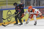 FRIBOURG - SHEFFIELD