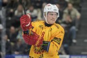 ZUG - TIGERS