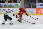 TIGERS - LAUSANNE