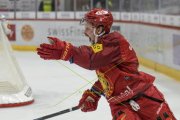 TIGERS - ZSC