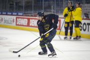 TRAINING SCHWEDEN