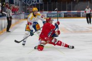 LAKERS - ZUG