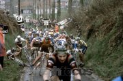 Radsport - Flandern Rundfahrt historisch