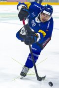 FRIBOURG - TIGERS