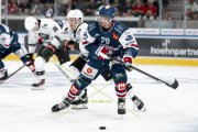 FIALA ALLSTARS - ZSC