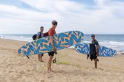 EL PALMAR 2025