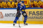 FRIBOURG - TIGERS