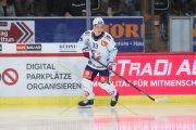 TIGERS - ZSC