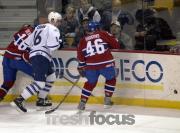 Eishockey AHL - Hamilton Bulldogs - St.John Maple Leafs
