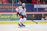 TIGERS - ZSC