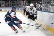 FIALA ALLSTARS - ZSC