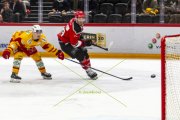 LAUSANNE - TIGERS