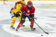 LAUSANNE - SC BERN
