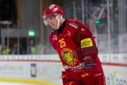 TIGERS - LAUSANNE