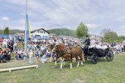 SOLOTHURNER KANTONAL SCHWINGFEST