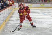 TIGERS - ZSC