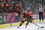 BERN - MOUNTFIELD