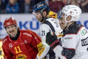 TIGERS - LAUSANNE