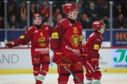 TIGERS - BERN