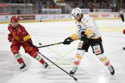 TIGERS - LUGANO