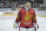 TIGERS - ZSC