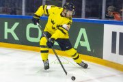 SCHWEDEN - SLOWAKEI