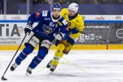 HCC - AROSA