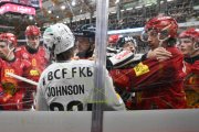 TIGERS - FRIBOURG