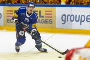FRIBOURG - TIGERS