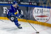 FRIBOURG - TIGERS