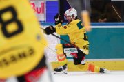ZSC - BERN