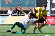 YB - KRIENS