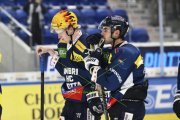 AMBRI - TIGERS