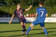 RAPPERSWIL - BASEL