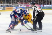 ZSC - DAVOS