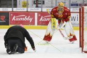 TIGERS - KLOTEN