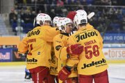 AMBRI - TIGERS
