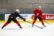TRAINING SCHWEIZ