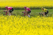 TOUR DE ROMANDIE 2025