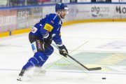 FRIBOURG - TIGERS